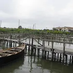 L'araucaria Le Affittacamere