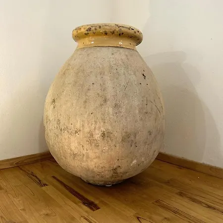 L'araucaria Le *