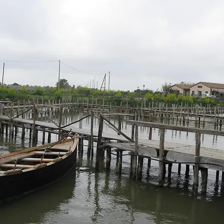 L'araucaria Le Affittacamere