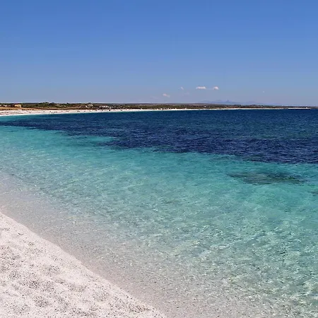 Affittacamere L'araucaria Le Riola Sardo