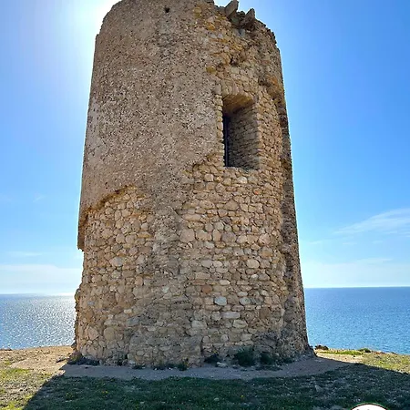 L'araucaria Le Affittacamere