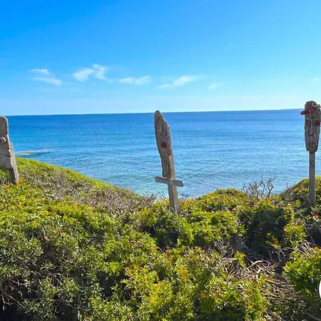 Vendégház L'araucaria Le