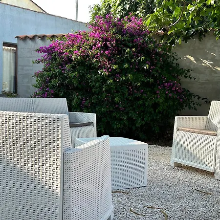 L'araucaria Le Affittacamere Riola Sardo