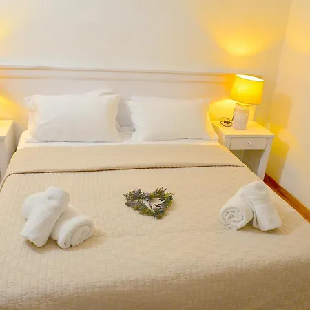 L'araucaria Le Riola Sardo