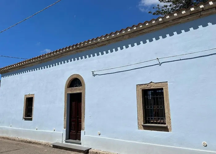 L'araucaria Le